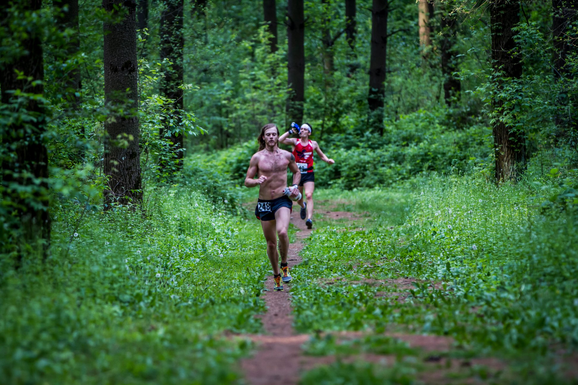 Ice Age Trail 50